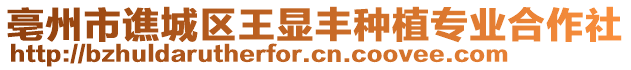 亳州市譙城區(qū)王顯豐種植專業(yè)合作社