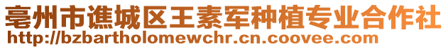 亳州市譙城區王素軍種植專業合作社