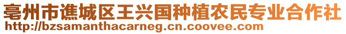 亳州市譙城區(qū)王興國種植農(nóng)民專業(yè)合作社