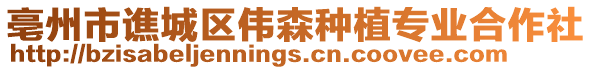 亳州市譙城區偉森種植專業合作社