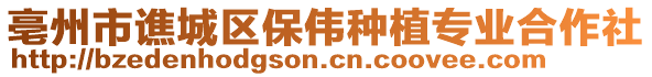 亳州市譙城區(qū)保偉種植專業(yè)合作社