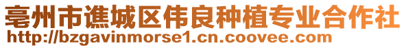 亳州市譙城區偉良種植專業合作社