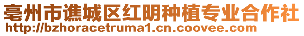 亳州市譙城區紅明種植專業合作社
