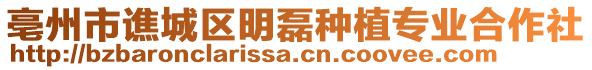 亳州市譙城區明磊種植專業合作社