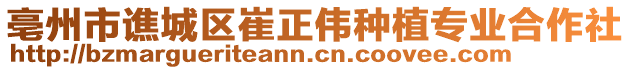 亳州市譙城區崔正偉種植專業合作社