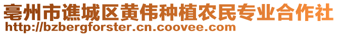 亳州市譙城區(qū)黃偉種植農(nóng)民專業(yè)合作社