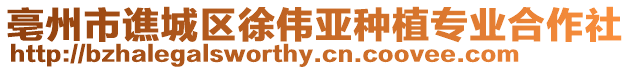亳州市譙城區徐偉亞種植專業合作社