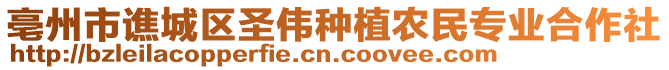 亳州市譙城區(qū)圣偉種植農(nóng)民專業(yè)合作社