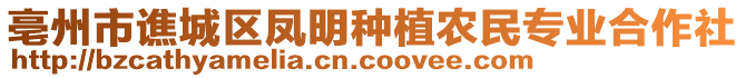 亳州市譙城區(qū)鳳明種植農(nóng)民專業(yè)合作社