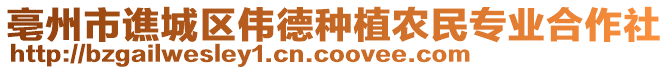 亳州市譙城區(qū)偉德種植農(nóng)民專業(yè)合作社