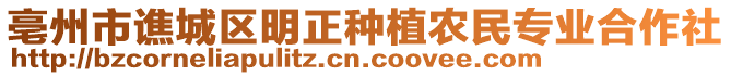 亳州市譙城區(qū)明正種植農(nóng)民專(zhuān)業(yè)合作社