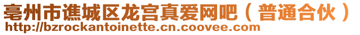 亳州市譙城區(qū)龍宮真愛網(wǎng)吧（普通合伙）