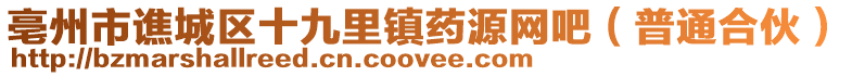 亳州市譙城區(qū)十九里鎮(zhèn)藥源網吧(普通合伙)