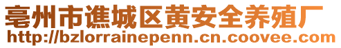 亳州市譙城區(qū)黃安全養(yǎng)殖廠