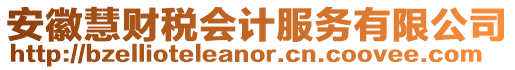 安徽慧財稅會計服務有限公司