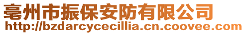 亳州市振保安防有限公司