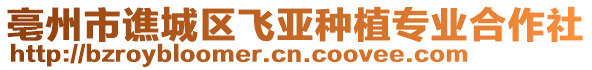 亳州市譙城區(qū)飛亞種植專業(yè)合作社