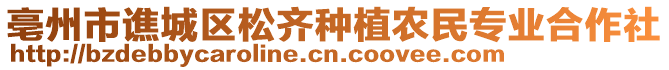 亳州市譙城區(qū)松齊種植農(nóng)民專業(yè)合作社