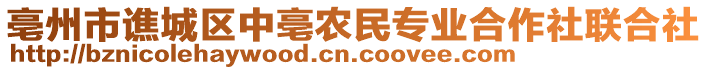 亳州市譙城區(qū)中亳農(nóng)民專業(yè)合作社聯(lián)合社