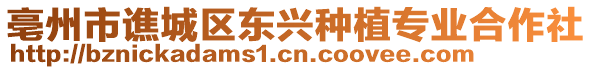 亳州市譙城區(qū)東興種植專業(yè)合作社