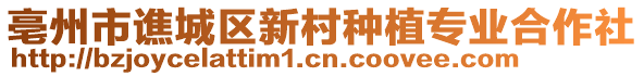 亳州市譙城區(qū)新村種植專業(yè)合作社