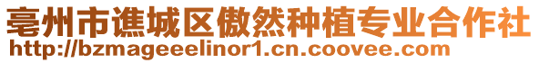 亳州市譙城區(qū)傲然種植專業(yè)合作社