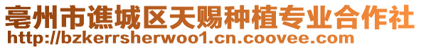 亳州市譙城區(qū)天賜種植專業(yè)合作社