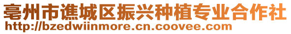 亳州市譙城區(qū)振興種植專業(yè)合作社