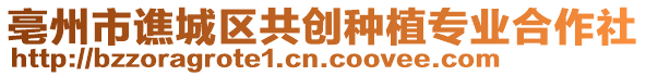 亳州市譙城區(qū)共創(chuàng)種植專業(yè)合作社