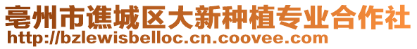 亳州市譙城區(qū)大新種植專業(yè)合作社