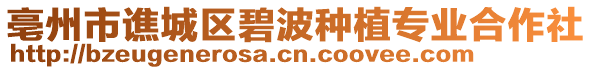 亳州市譙城區(qū)碧波種植專業(yè)合作社