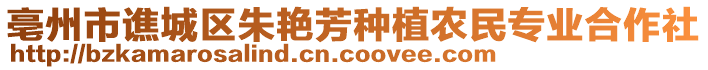 亳州市譙城區(qū)朱艷芳種植農(nóng)民專業(yè)合作社