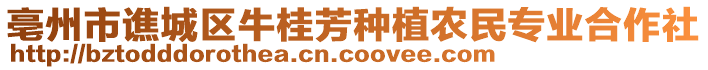 亳州市譙城區(qū)牛桂芳種植農(nóng)民專業(yè)合作社