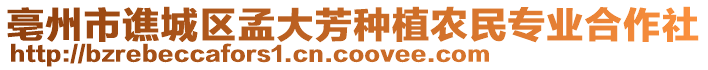 亳州市譙城區(qū)孟大芳種植農(nóng)民專業(yè)合作社