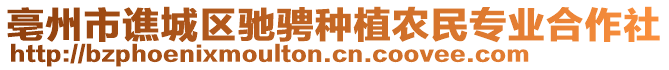 亳州市譙城區(qū)馳騁種植農民專業(yè)合作社