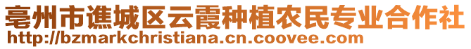 亳州市譙城區云霞種植農民專業合作社