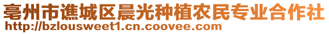 亳州市譙城區晨光種植農民專業合作社