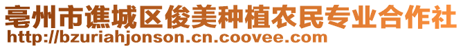亳州市譙城區俊美種植農民專業合作社
