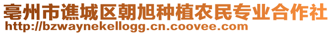 亳州市譙城區朝旭種植農民專業合作社