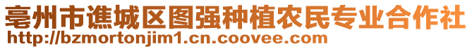 亳州市譙城區(qū)圖強(qiáng)種植農(nóng)民專業(yè)合作社