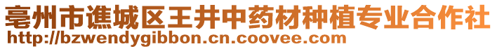 亳州市譙城區(qū)王井中藥材種植專業(yè)合作社