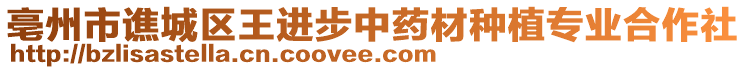 亳州市譙城區(qū)王進步中藥材種植專業(yè)合作社