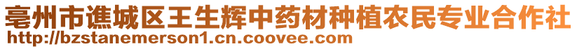 亳州市譙城區王生輝中藥材種植農民專業合作社