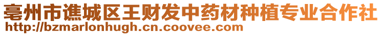 亳州市譙城區王財發中藥材種植專業合作社