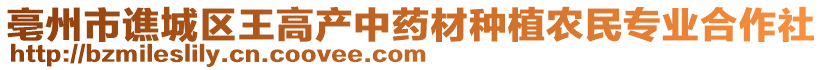 亳州市譙城區(qū)王高產(chǎn)中藥材種植農(nóng)民專業(yè)合作社
