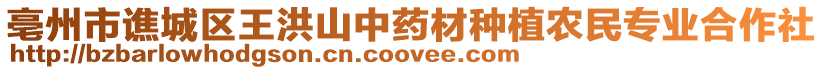 亳州市譙城區王洪山中藥材種植農民專業合作社