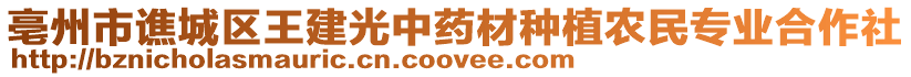 亳州市譙城區王建光中藥材種植農民專業合作社