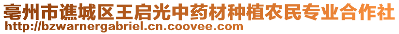 亳州市譙城區王啟光中藥材種植農民專業合作社