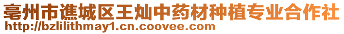 亳州市譙城區王燦中藥材種植專業合作社