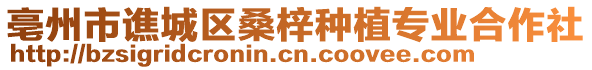 亳州市譙城區(qū)桑梓種植專業(yè)合作社